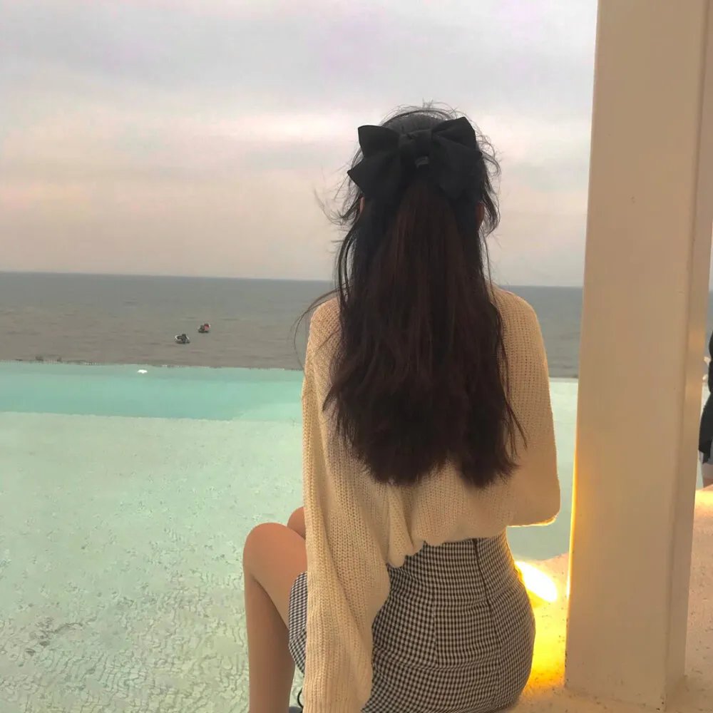 寻芳浪蝶
